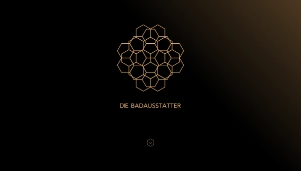 Website Die Badausstatter